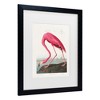 Trademark Fine Art - Pictufy  Pink Flamingo From Birds of America 1827 Matted Framed Art - 3 of 4