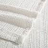 Tommy Bahama Sandline Blanket - 2 of 4