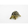 Tortoise, Indian Star Tortoise, Testudinidae, Hand Painted, Realistic Toy Figure, Model, Replica, Kids, Educational, Gift,    2 Inches   CH462 BB114 - 4 of 4