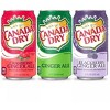 Canada Dry Winter Variety Pack - 12 Oz Can (Pack of 36) - 2 of 3