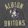 Albion College Official Britons Logo Adult Pull-Over Hoodie - 2 of 4