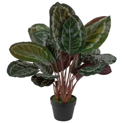 Northlight 30" Artificial Large Green Leaf Calathea Potted Plant