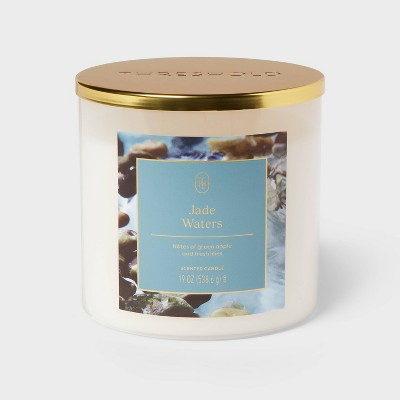 3-Wick Glass Jar Candle with Lid Jade Waters 19oz - Threshold™