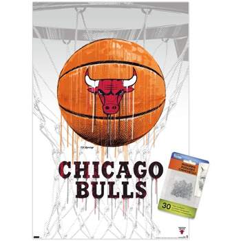 NBA Chicago Bulls - Logo 21 Wall Poster, 14.725 x 22.375, Framed