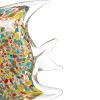 Beachcombers Multiple Confetti Glass Fish Figurine - 3 of 3