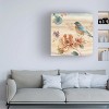 Trademark Fine Art -Lisa Audit 'Spiced Nature III' Canvas Art - 2 of 4