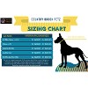 Country Brook Petz Rainbow Hearts Martingale with Premium Buckle Dog Collar (1 Inch, Medium) - 2 of 4