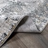 Hauteloom Stambaugh Luxury Fringed Faux Silk Rug - 3 of 4