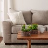 Nature Spring Set of 2 Faux Succulent Arrangements - 2 of 4