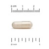 Lake Avenue Nutrition Serrapeptase, Proteolytic Enzyme, 120,000 SPUs, 180 Veggie Capsules - 3 of 4