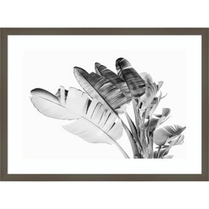 Amanti Art Tropical Velvet I - BW by Ryan Hartson Weddle Wood Framed Wall Art Print - 1 of 4