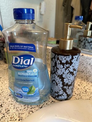 Target dial discount foaming hand soap