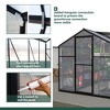 6 x 8 FT Greenhouse for Outdoors Polycarbonate Greenhouse with Quick Setup Structure and Roof Vent Aluminum Large Walk-in Greenhouse Black - 4 of 4
