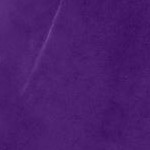 radiant purple