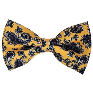 Men's Paisley Design 2.75 W And 4.75 L Inch Pre-Tied adjustable Bow Tie - 1 of 3