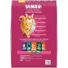 IAMS Proactive Health Adult Urinary Tract Healthy Chicken Flavor Dry Cat Food - 2 of 4