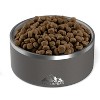 Hydrapeak Non Slip Stainless Steel Dog Bowl - 2 of 4