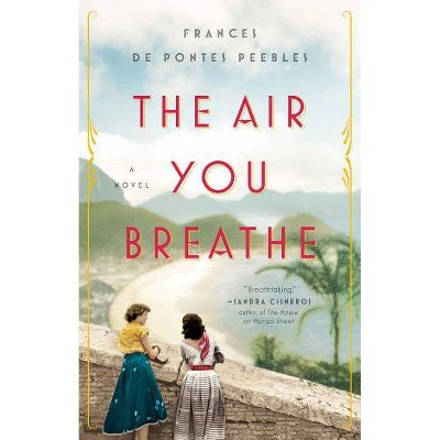 The Air You Breathe - by  Frances De Pontes Peebles (Paperback)