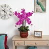 HomeStock Phalaenopsis with Decorative Vase Silk Flower Arrangement - 2 of 4