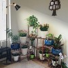 KTMBDW Grow Lights for Indoor Plants,Full Spectrum Grow Light with 20W COB Grow Light Blub and 4/8/12H Timer, Plant Light for Indoor Plants, Black - 2 of 4