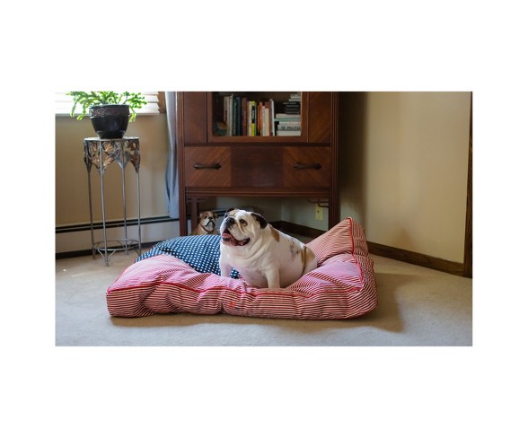 Iconic Beds For Dogs and Cats - Freedom Buster Beds - L