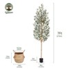 7ft Pencil Artificial Olive Tree with Real Wood Trunk & Silk Leaves, UV Resistant Faux Plant in Decorative Pot & Basket for Home and Office Decor - 3 of 4