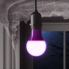 2pk LED Halloween Novelty Replacement Bulbs - 2 of 3