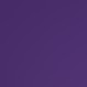 radiant purple dogs