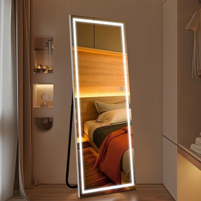 FURNIinspire Full Length Mirrors Rectangular Full Body Mirror Freestanding Leaning Large Mirror with Stand for Bedroom, Silver, 20"*63"