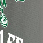 philadelphia eagles