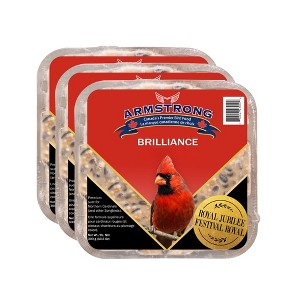 Armstrong Wild Bird Food Royal Jubilee Brilliance Suet Cake, 10.6oz (Pack of 3) - 1 of 4