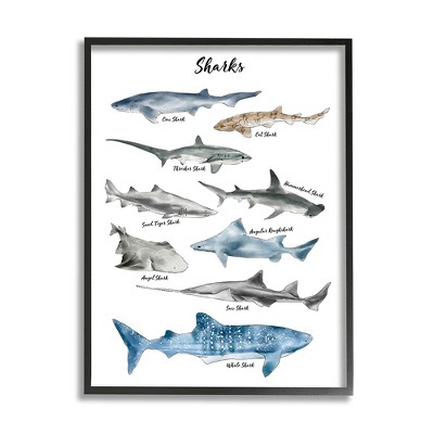 Stupell Industries Nautical Shark Chart Watercolor Marine Animals