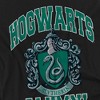 Harry Potter Hogwarts Syltherin Alumni Adult T-Shirt Black - 2 of 4