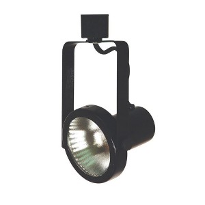 Cal Lighting LINE Voltage Fixture,PAR 38 - 1 of 1