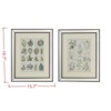 VisioGear Set of 2 Mirror Framed Wall Art on Mellow Golden Tint Background, 15.7"*19.7"*0.6" - 3 of 4