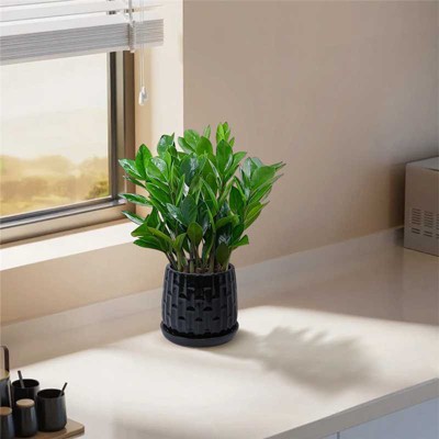 Hrinhom 2-Piece High-Quality Ceramic Flower Pot with Drainage Holes