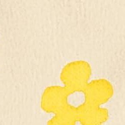 apricot(unfluffy style)