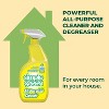 Simple Green Lemon Scent Concentrated All Purpose Cleaner Liquid 24 oz (Pack of 6) - 3 of 3