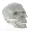 HomeRoots 6" White Ceramic Skull Tabletop Sculpture - 3 of 4