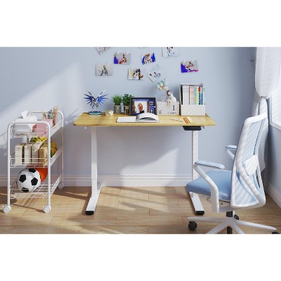 NicBex 47.24 Inch Electric Standing Desk,Dual Motor Adjustable Height Home Office Desk,Sit Stand up Desk for Bedroom,Living Study Room