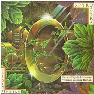 Spyro Gyra - Catching the Sun (CD)