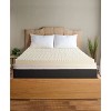 Carpenter Full 3" Isotonic 5 Zone Topper Off-White - 2 of 4