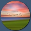 Courtside Market Global Wonders Photography Collection, Birds Through Colors Statement Piece Wood Décor - 3 of 4