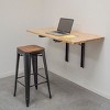 Sportsman Series Wall Mounted Folding Workbench - 4 of 4