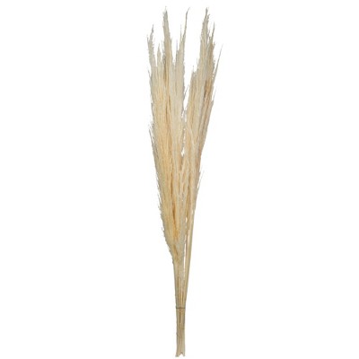 Vickerman 46 Dried Aspen Gold Pampas Grass, 6 Pieces