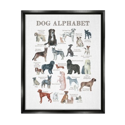 Stupell Industries Dog Alphabet Animal ABC's Framed Canvas