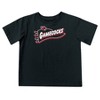 NCAA South Carolina Gamecocks Toddler Boys' 2pk Short Sleeve and Long Sleeve T-Shirts - 3 of 4