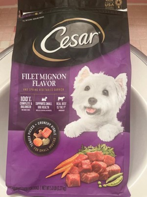 Cesar filet mignon hot sale dry dog food