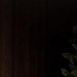 walnut brown