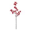 Melrose Berry Twig Spray (Set of 6) - 2 of 3